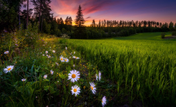 Картинка природа пейзажи простор