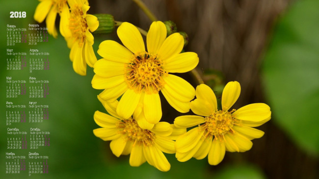 Обои картинки фото календари, цветы, желтый, цвет