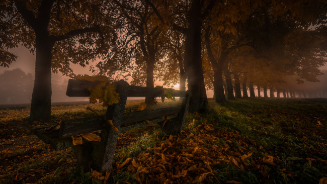 Обои картинки фото природа, пейзажи, простор