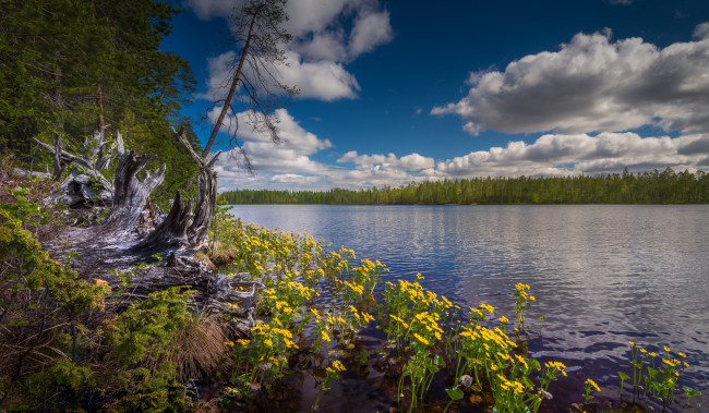 Обои картинки фото природа, реки, озера, простор