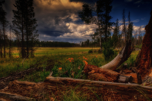 Обои картинки фото природа, пейзажи, простор