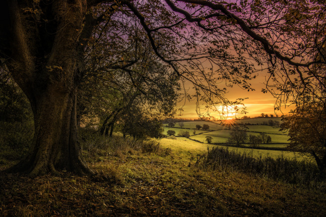 Обои картинки фото природа, пейзажи, простор