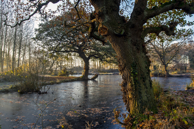 Обои картинки фото природа, реки, озера, простор