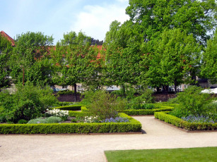 Картинка природа парк клумбы