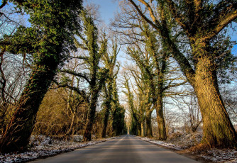 Картинка природа дороги шоссе