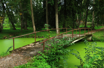 Картинка природа дороги река лес мост