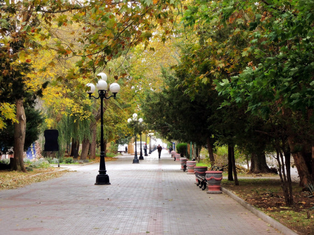 Обои картинки фото природа, парк, аллея