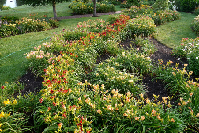 Обои картинки фото природа, парк, клумбы