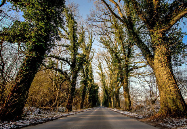 Обои картинки фото природа, дороги, шоссе