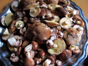 Картинка еда грибы +грибные+блюда маслята