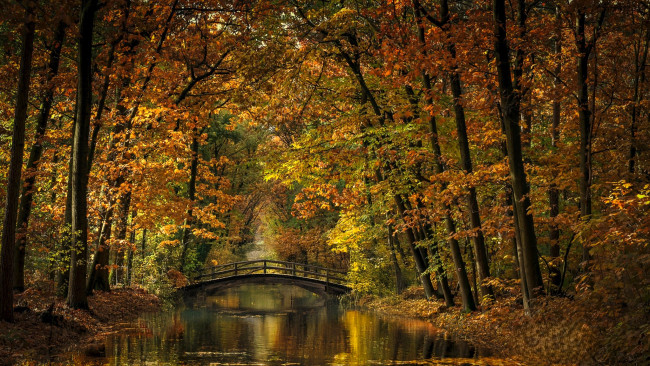 Обои картинки фото города, - мосты, мост, река, листья, осень, деревья, парк