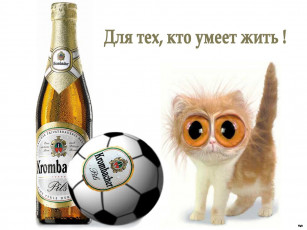 обоя футбол, юмор, приколы
