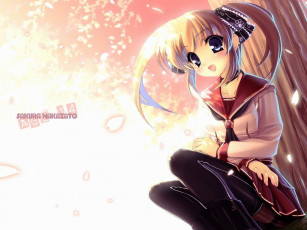 Картинка аниме to heart