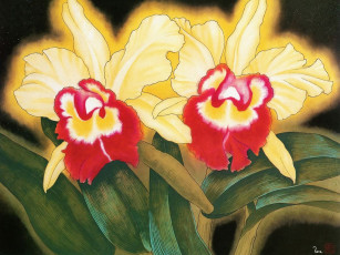 Картинка рисованные цветы