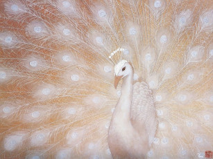 Картинка рисованные животные птицы павлины