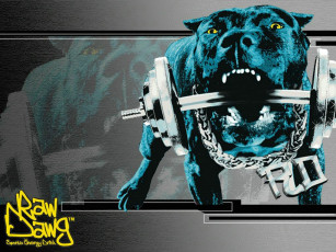 Картинка спорт другое