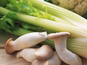 Картинка еда овощи