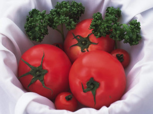 Картинка еда помидоры томаты