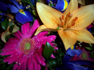 Картинка цветы разные вместе лепестки