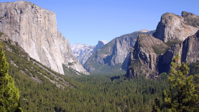 Обои картинки фото природа, горы, лес