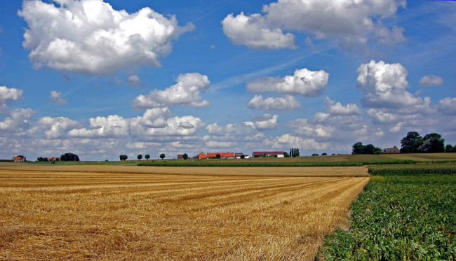 Обои картинки фото природа, поля, вид, растения, дома