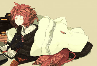 Картинка аниме angels demons плед перья демон крылья книга рога