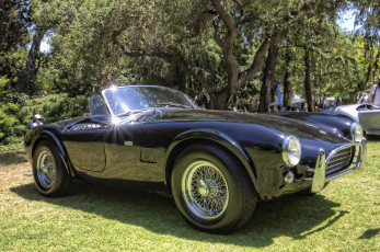 Картинка 1964+ac+cobra+289 автомобили выставки+и+уличные+фото выставка автошоу