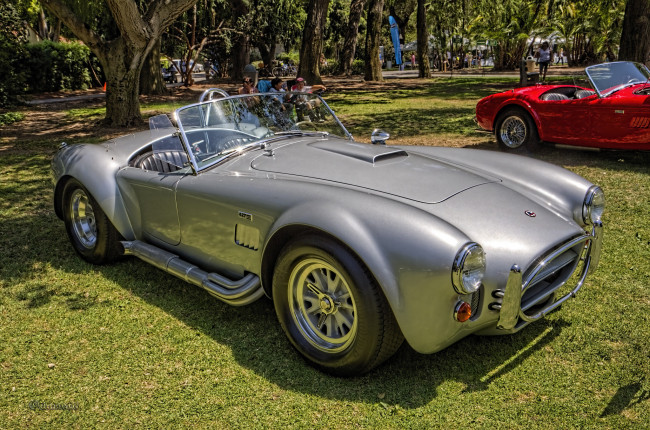 Обои картинки фото 1967 shelby cobra 427, автомобили, выставки и уличные фото, выставка, автошоу