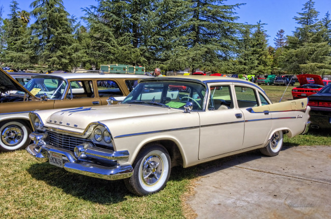 Обои картинки фото 1958 dodge coronet, автомобили, выставки и уличные фото, выставка, автошоу