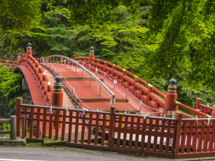 Картинка природа парк мостик лес