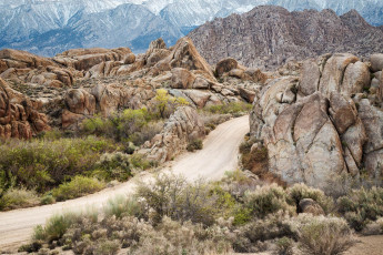 Картинка природа дороги простор