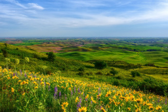 Картинка природа пейзажи простор