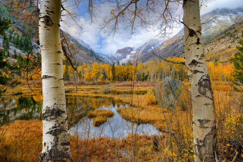 Картинка природа пейзажи простор