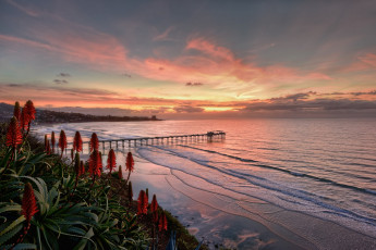 Картинка природа побережье простор