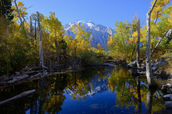 Картинка природа реки озера простор