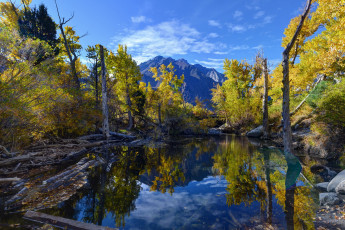 Картинка природа реки озера простор