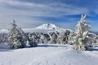 Картинка природа зима простор