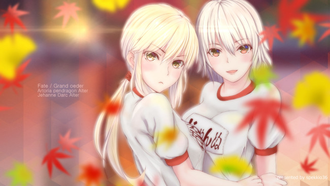 Обои картинки фото аниме, fate, stay night, grand, order