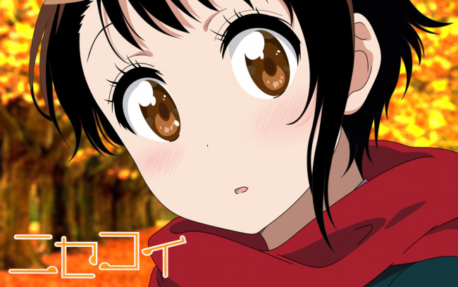 Обои картинки фото аниме, nisekoi, взгляд, фон, девушка
