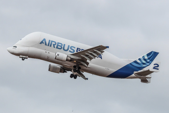 Обои картинки фото a300-600st beluga, авиация, грузовые самолёты, грузоперевозки, карго