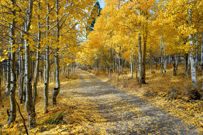 Обои картинки фото природа, дороги, простор