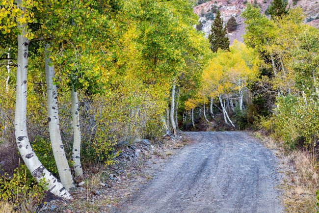 Обои картинки фото природа, дороги, простор