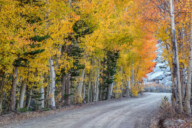 Обои картинки фото природа, дороги, простор