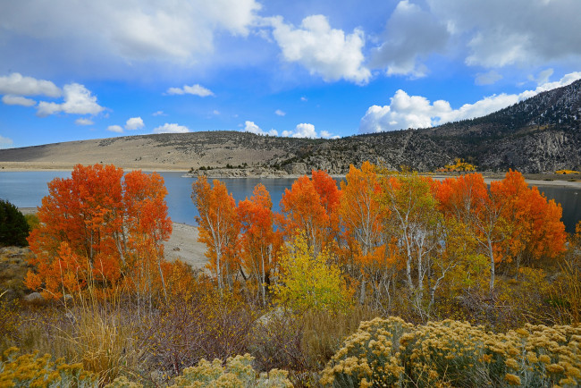 Обои картинки фото природа, пейзажи, простор