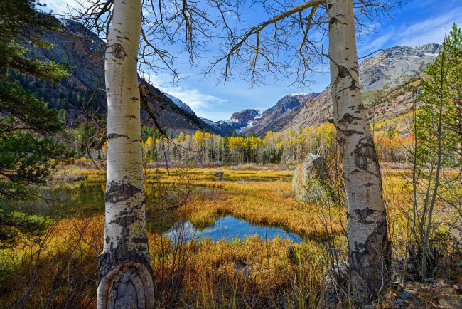 Обои картинки фото природа, пейзажи, простор