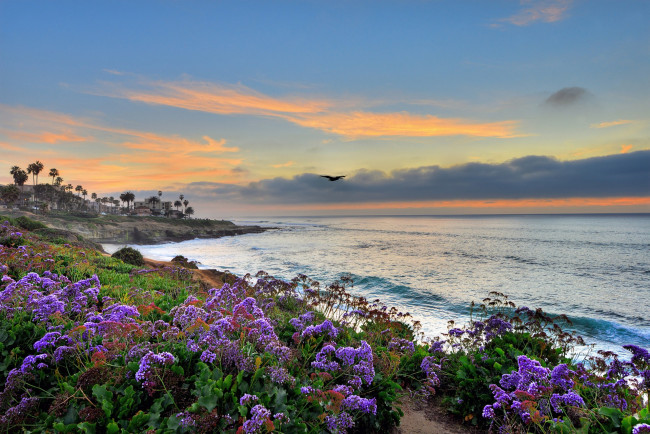 Обои картинки фото природа, побережье, простор