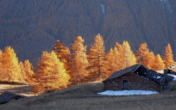 Картинка разное развалины +руины +металлолом сарай деревья горы