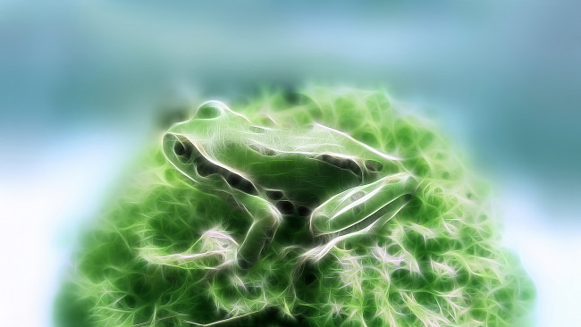 Обои картинки фото разное, компьютерный дизайн, лягушка