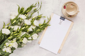 обоя цветы, эустома, букет, бутоны, чашка, бумага