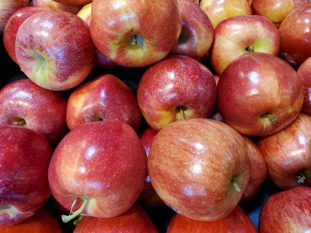 Обои картинки фото еда, яблоки, краснобокие, много